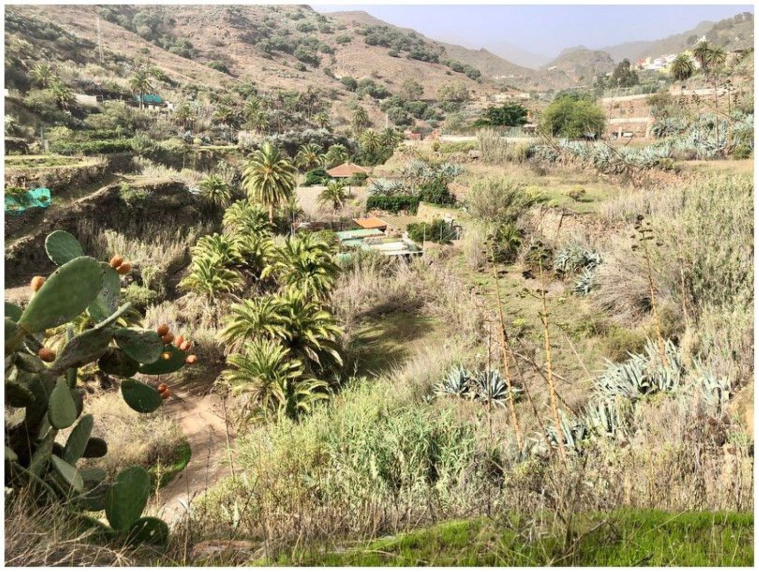 Suelo en venta, Lomitos de Correa