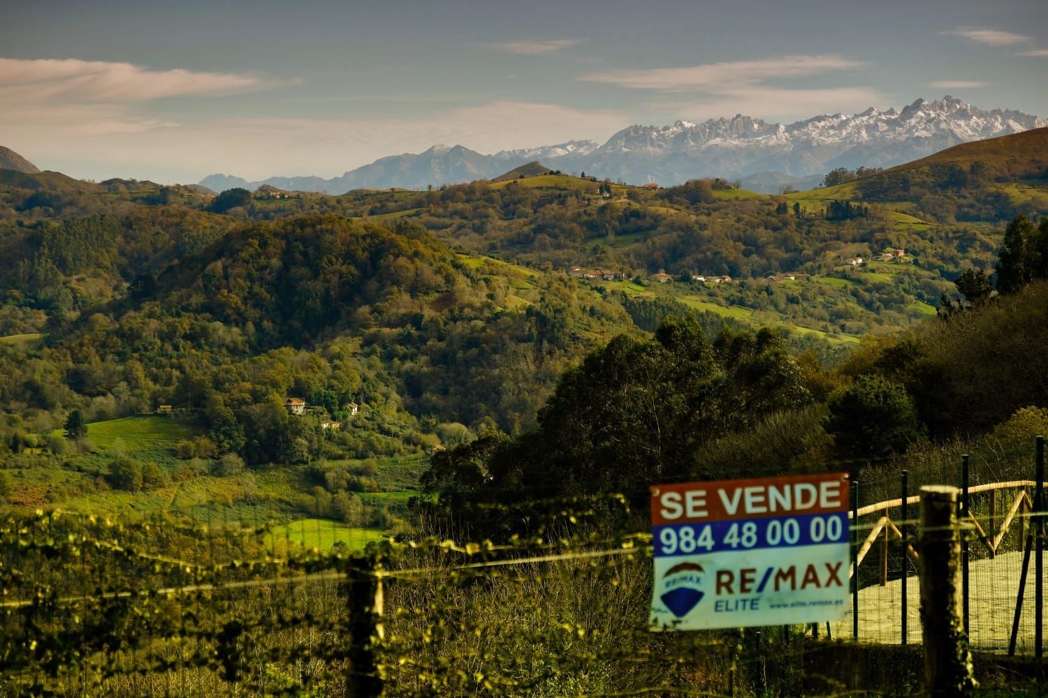 Suelo en venta, Arboleya