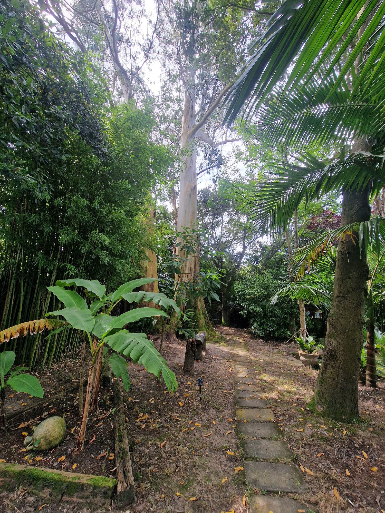 Casas o chalets-Venta-RibamontÃ¡n al Monte-1399199-Foto-54