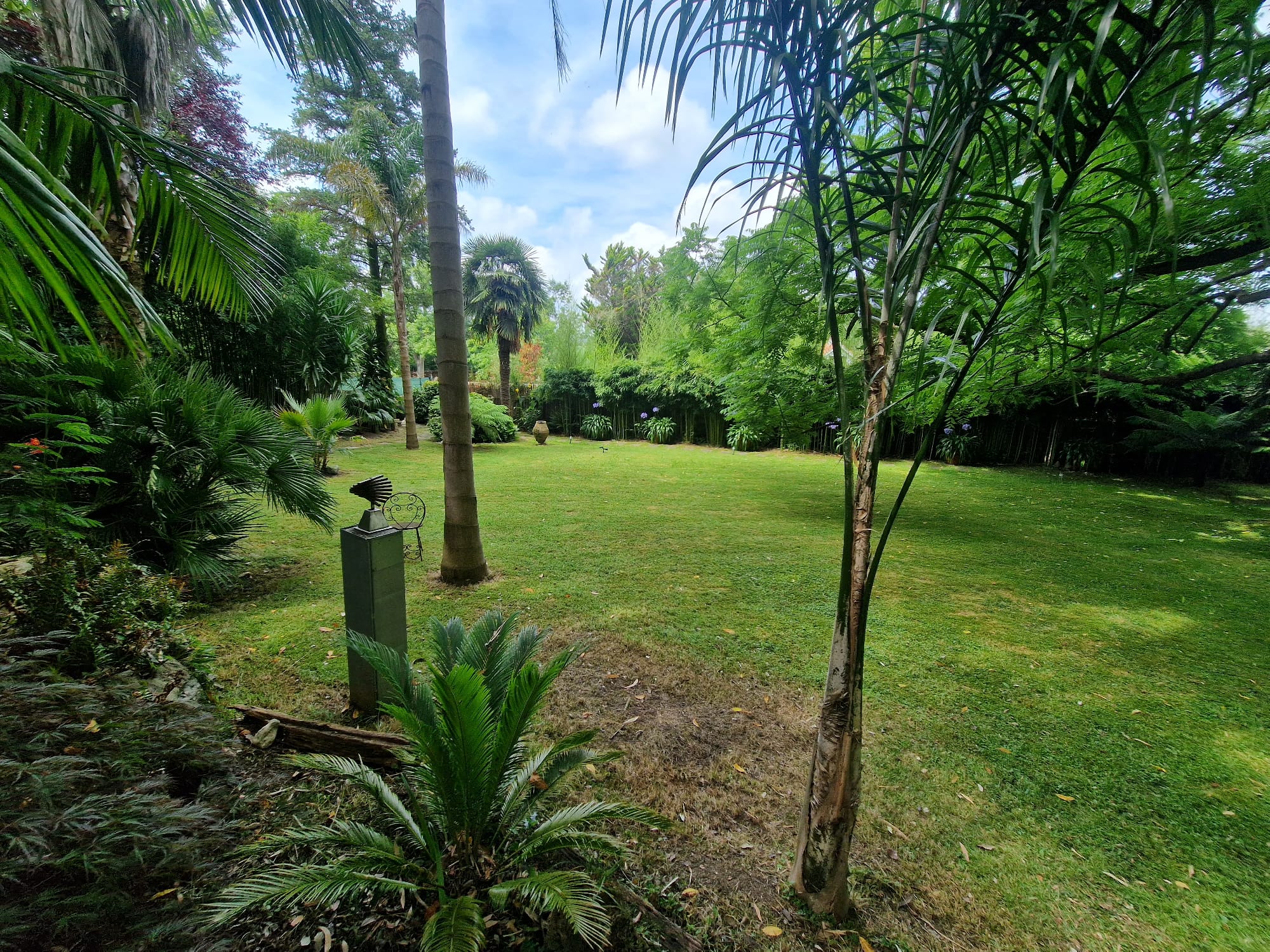 Casas o chalets-Venta-RibamontÃ¡n al Monte-1399199-Foto-58