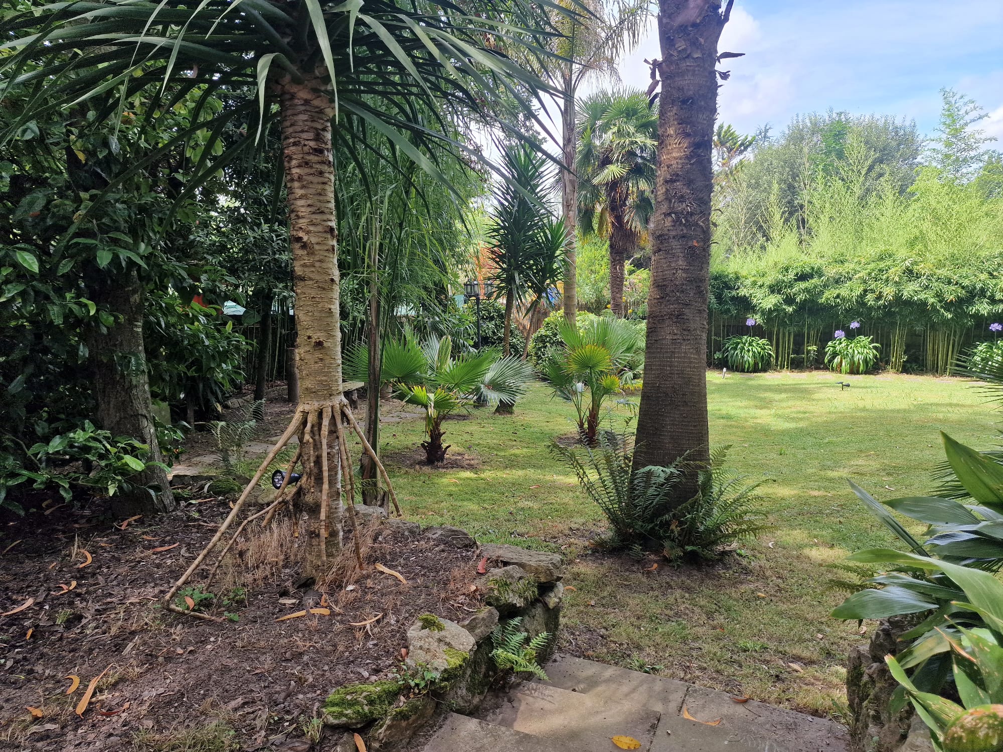 Casas o chalets-Venta-RibamontÃ¡n al Monte-1399199-Foto-64