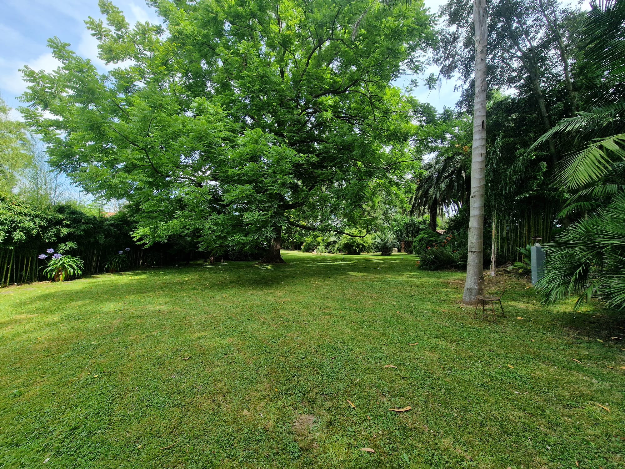 Casas o chalets-Venta-RibamontÃ¡n al Monte-1399199-Foto-63