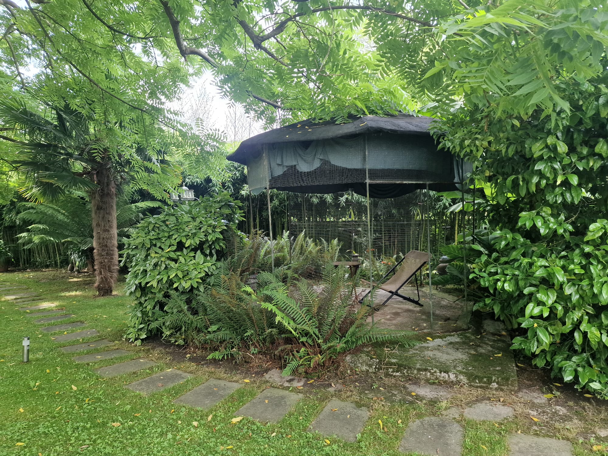 Casas o chalets-Venta-RibamontÃ¡n al Monte-1399199-Foto-69