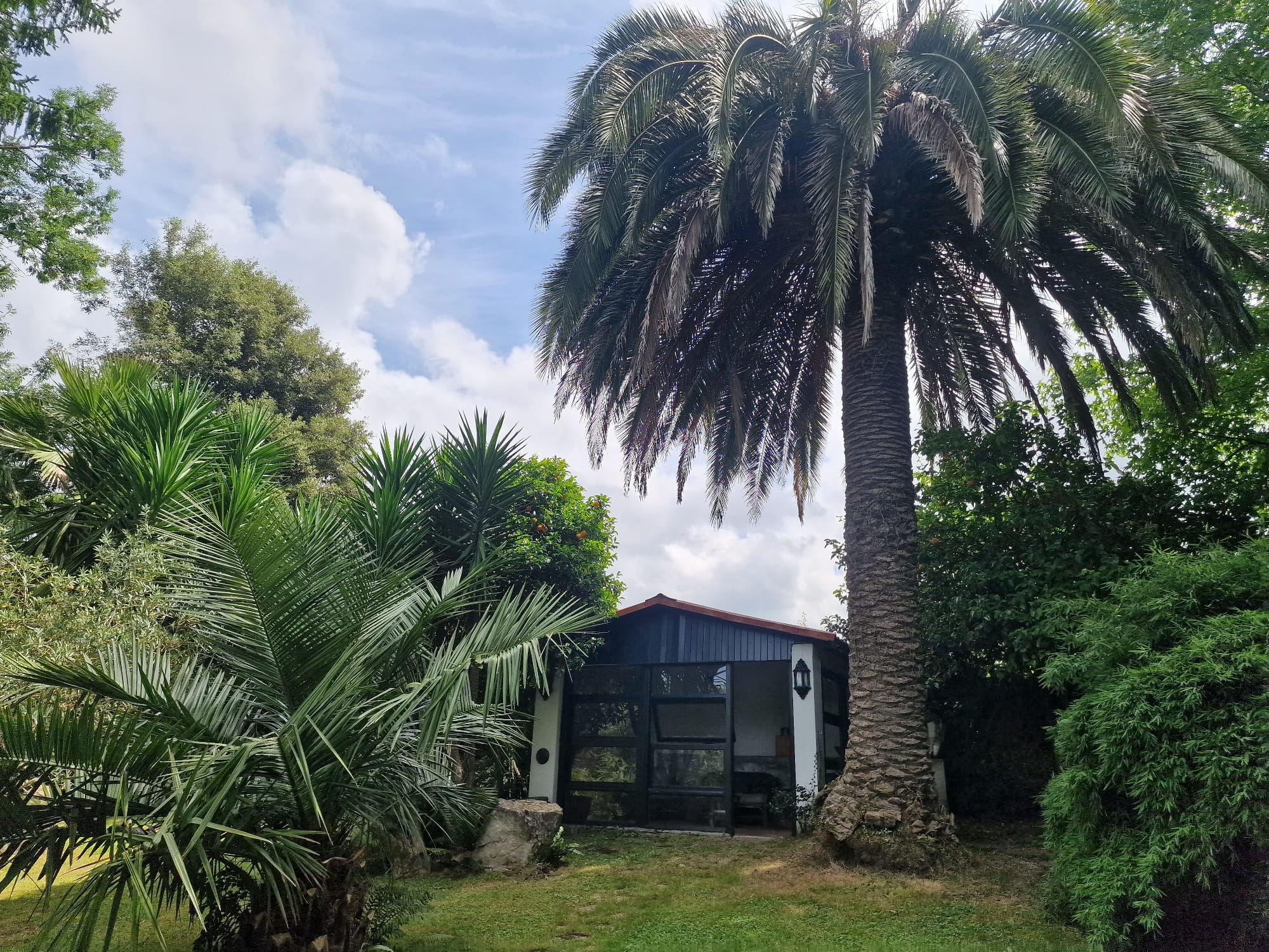 Casas o chalets-Venta-RibamontÃ¡n al Monte-1399199-Foto-74