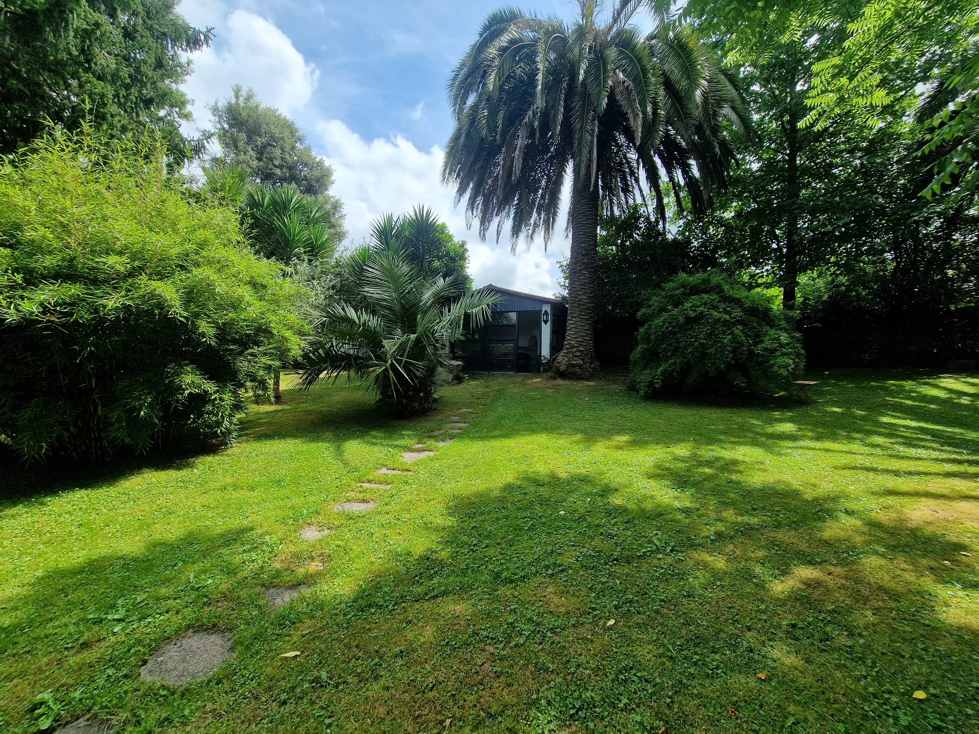 Casas o chalets-Venta-RibamontÃ¡n al Monte-1399199-Foto-75