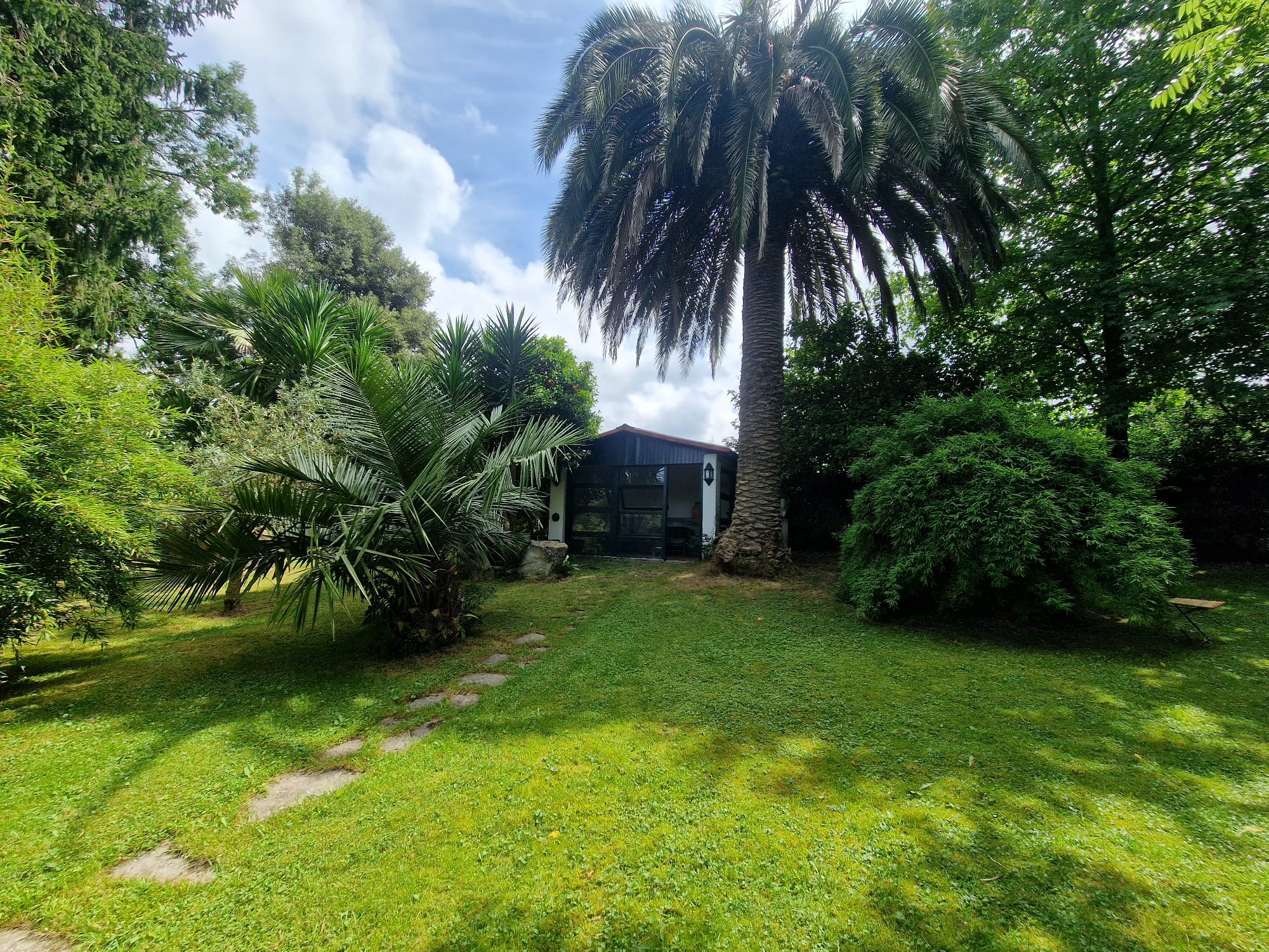 Casas o chalets-Venta-RibamontÃ¡n al Monte-1399199-Foto-77
