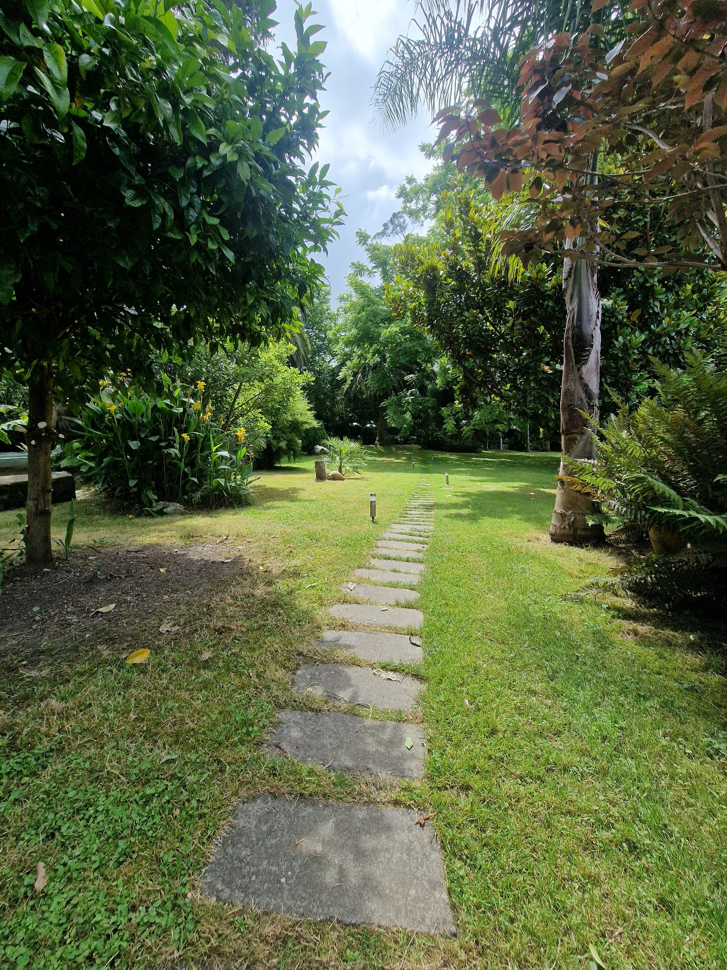 Casas o chalets-Venta-RibamontÃ¡n al Monte-1399199-Foto-83